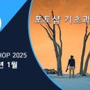 포토샵 기초 과정 신규 개강공지(2025년 1/2/3월) 이미지