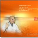 한국불교대학관음사 이미지