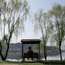 오골계식당 이미지