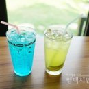 청소년카페모모 네이버블로그