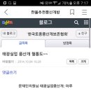 대산실업 Daum카페