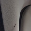 장안점현대자동차 이미지