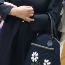 도토리퀼트