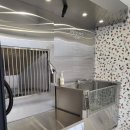 퍼피인더바스 이미지