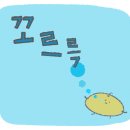 터틀웍스스튜디오