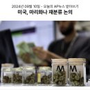 127_240910_reclassify marijuana as a less dangerous drug 이미지