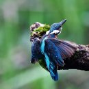 김가네식당 이미지