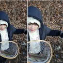 송어의꿈 이미지