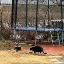 [13] 고은뜰팡(청주) : 1박 2일 숙박 후기