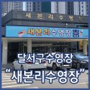 새본리수영장 | 달서구수영장 새본리수영장 평일 자유수영 솔직후기 내돈내산