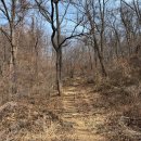 대청호코스 | 문의 양성산 대청호뷰 초보등산코스 후기 (기절)