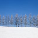 홋카이도 이미지