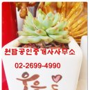 래미안목동아델리체공인중개사사무소 이미지