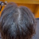 [북부]셀프뷰티마스터(2025) | [탈모 정착지] 2025년부터 지금까지? 탈모교정펌&amp;복구매직에 진심인 이유! / 남천연제사직영도거제김해...