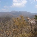 용연목장 티스토리