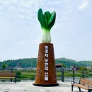 풍기인견용인 이미지