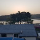 (유)스카이오일 | 주간일정.(자동차 리콜 점검, 면허증 갱신, 엔진오일 교환, 자동차 번호판 교체, 동네 겹벚꽃 구경)