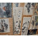 생태한마리 이미지