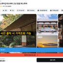 가미무역 | 마쓰야마 일일투어 유유버스투어 후기 근교 시모나다역 특가 할인예약