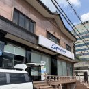 파충류샵크레라핀 | 경남 창원 파충류샵 크레라핀 방문 후기
