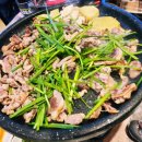 서가네오리 이미지