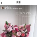 버드앤바인 이미지