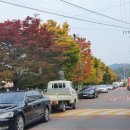 성주중앙초등학교 이미지