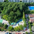 단장체육공원 이미지