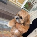 디딤동물병원 이미지