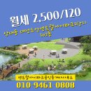 더아이파크공인중개사사무소 | 대전시 유성구 상대동 센트럴아이파크공인중개사사무소 실매물 오피스텔 월세