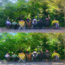 유정쫄면