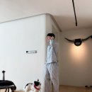 댕댕이 머리하는 날 이미지