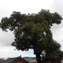 기장장관청 이미지