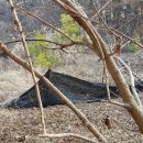 홍성읍 옥암3리마을회관 이미지