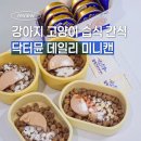 제일아이캔태권도 | 닥터뮨데일리미니캔 후기 강아지미니캔 진짜 반응 좋음