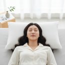 슬립앤슬립파트너스 네이버블로그