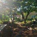 황제농원 이미지