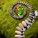 해피 금요일, 오늘도 행복가득~ 행복만땅되세요! 이미지