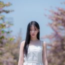 1209 혜주시입니다. 이미지