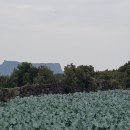 성산별장 이미지