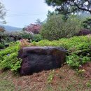 완도·청산도여행(2) (고금도지석묘군, 하나로마트 강진완도축산농협고금지점, 완도해송펜션, 신지...