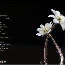 따뜻한 말 한 마디 이미지