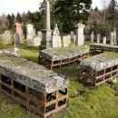 모트헤어 이미지