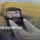 감동적인 성장의 이야기, 『나의 라임 오렌지나무』