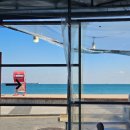 바를정 회 | 내돈내산 후기: 울산 진하해수욕장 어부야횟집 매운탕 &amp; 회덮밥