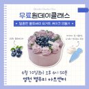 [250507 속초] 디어데이 블루베리 요거트 케이크 원데이클래스 후기