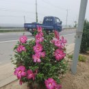 국도주유소 이미지