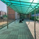 인천갈월초등학교 이미지