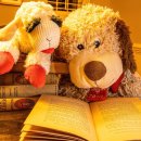 영문1리 이미지