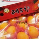 퀸마트 이미지